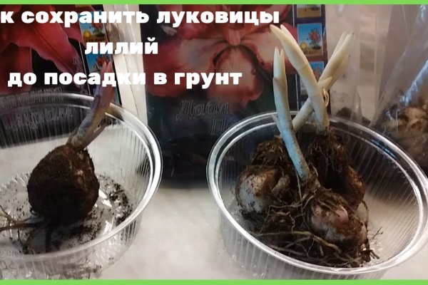 Кракен онион