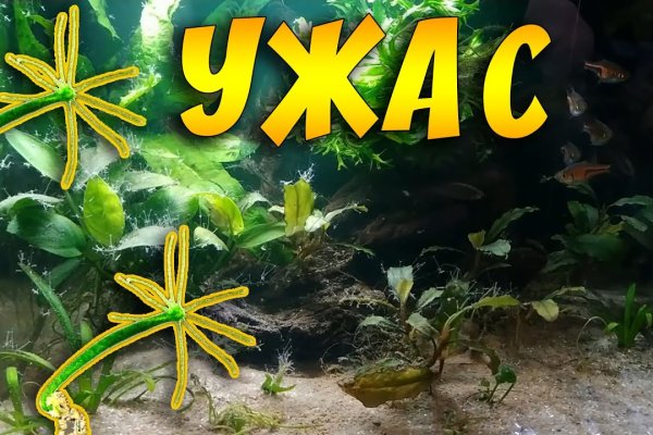 Кракен маркет что
