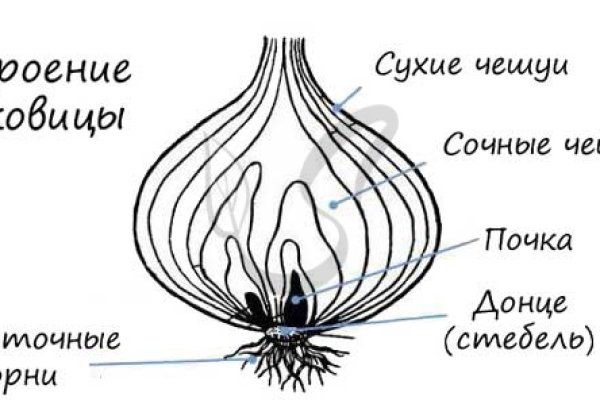 Kraken darknet marketplace