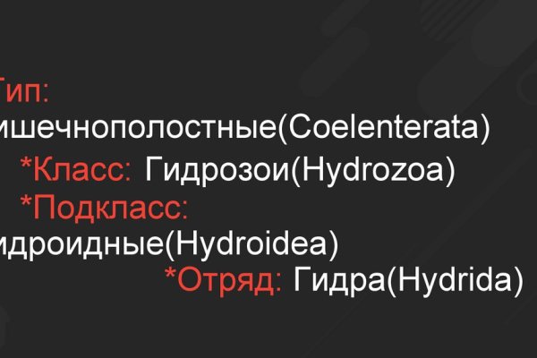 Кракен зеркало впн