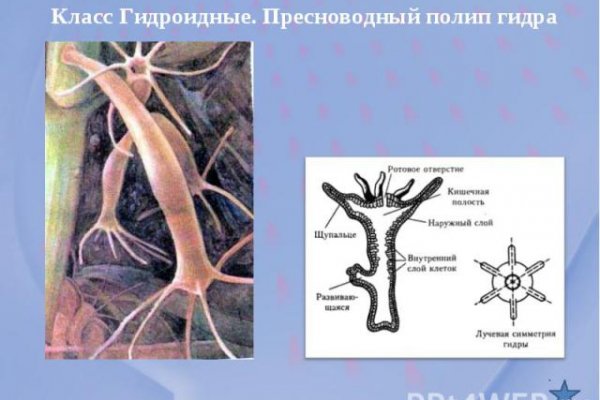 Кракен маркет darknet
