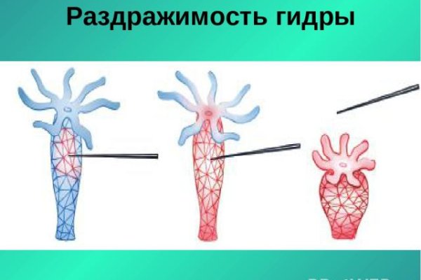 Площадка кракен kraken dark link
